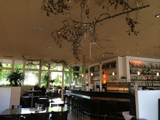 einstein-cafe-restaurant.jpg