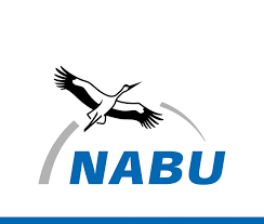 nabu 1.png