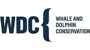 Whale & Dolphin Conservation Logo.jpeg